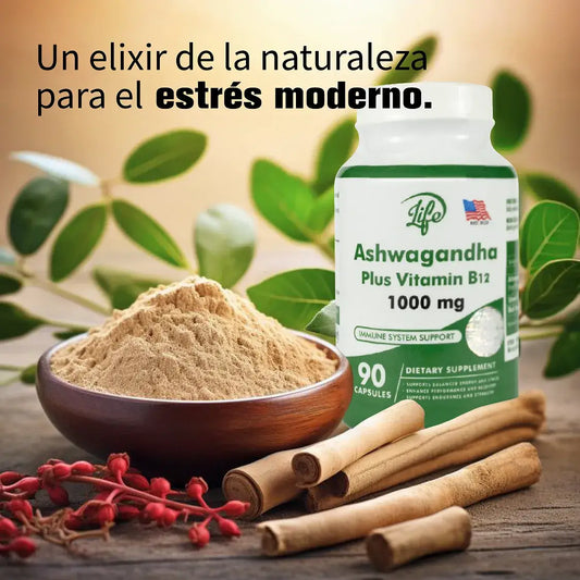 gid://shopify/MediaImage/24566344253534